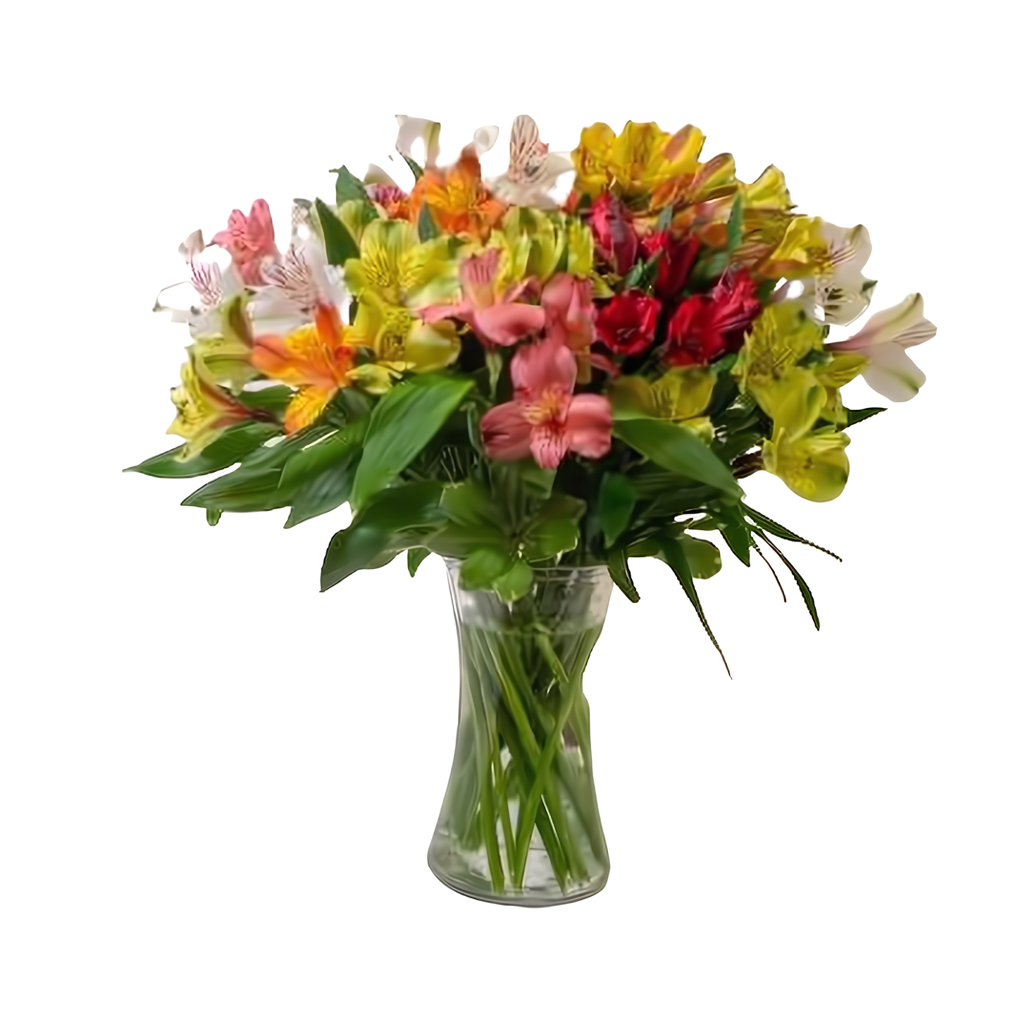 NYC Flower Delivery - Colorful Assorted Alstromeria - Birthdays