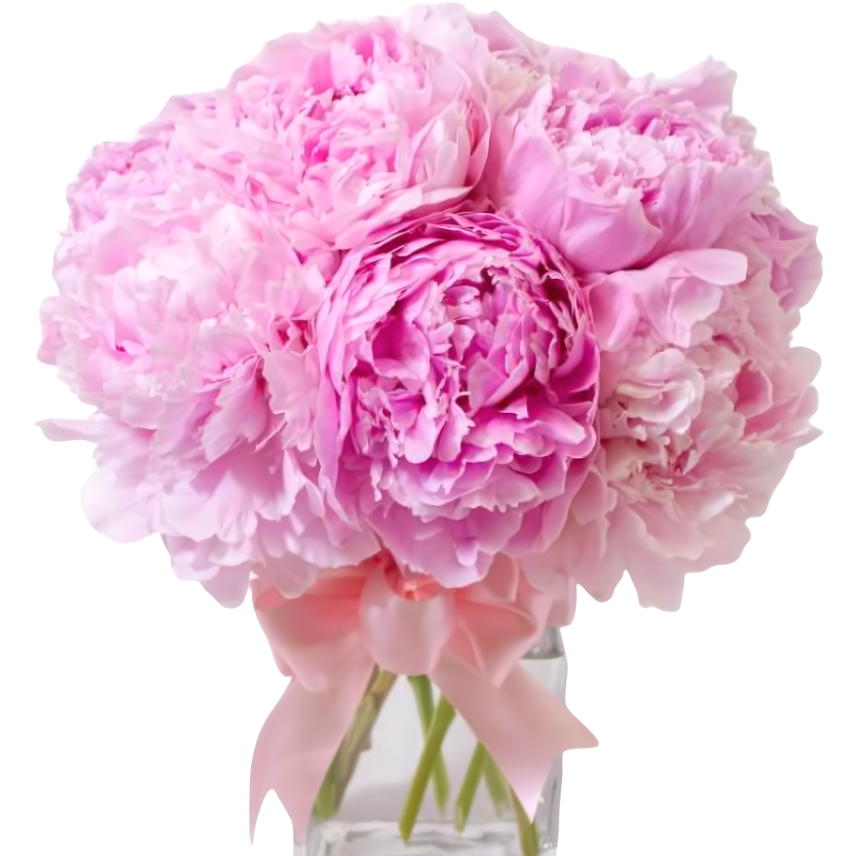 Queens Flower Delivery - Pretty Pink Peony