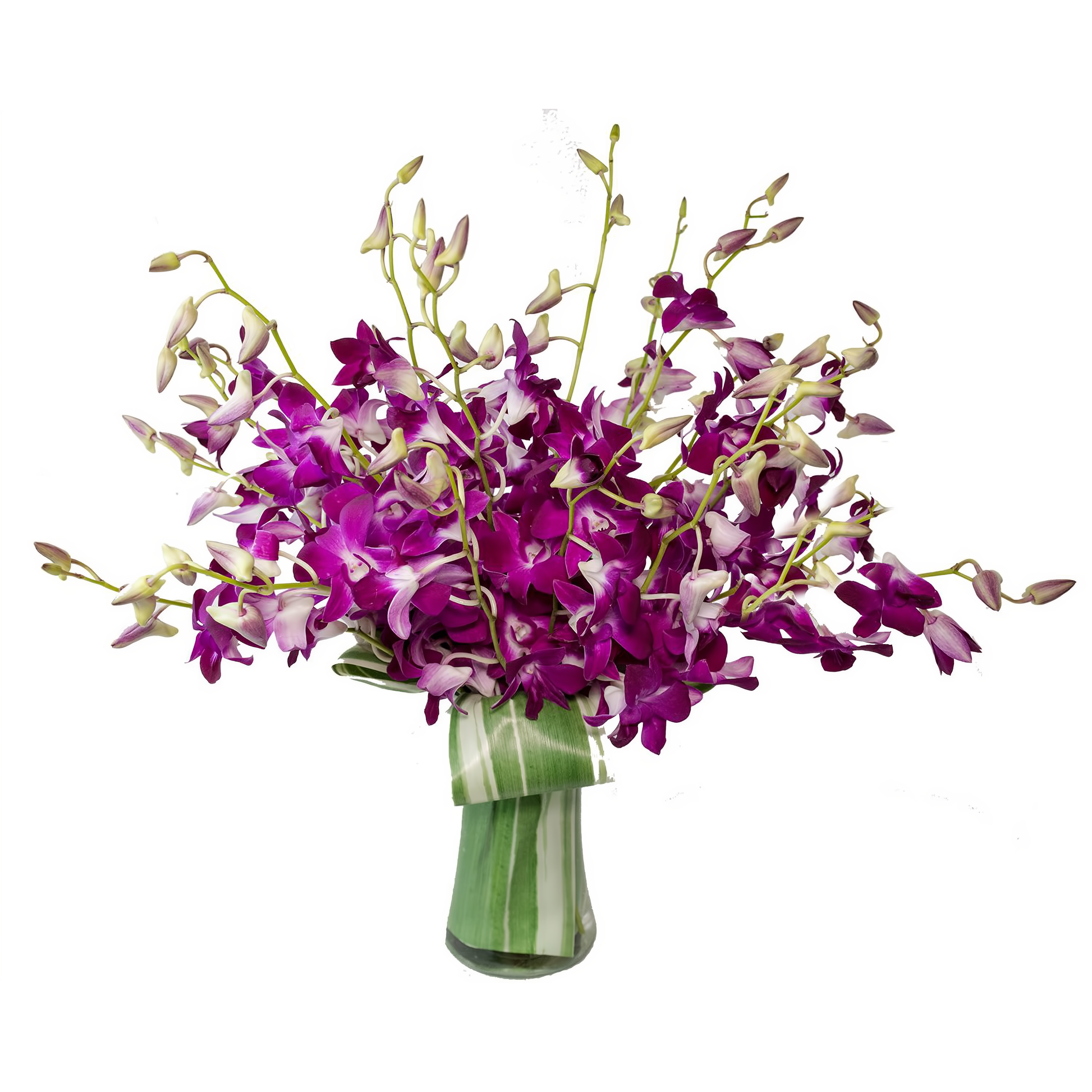 Manhattan Flower Delivery - Orchid Embrace - Occasions > Anniversary