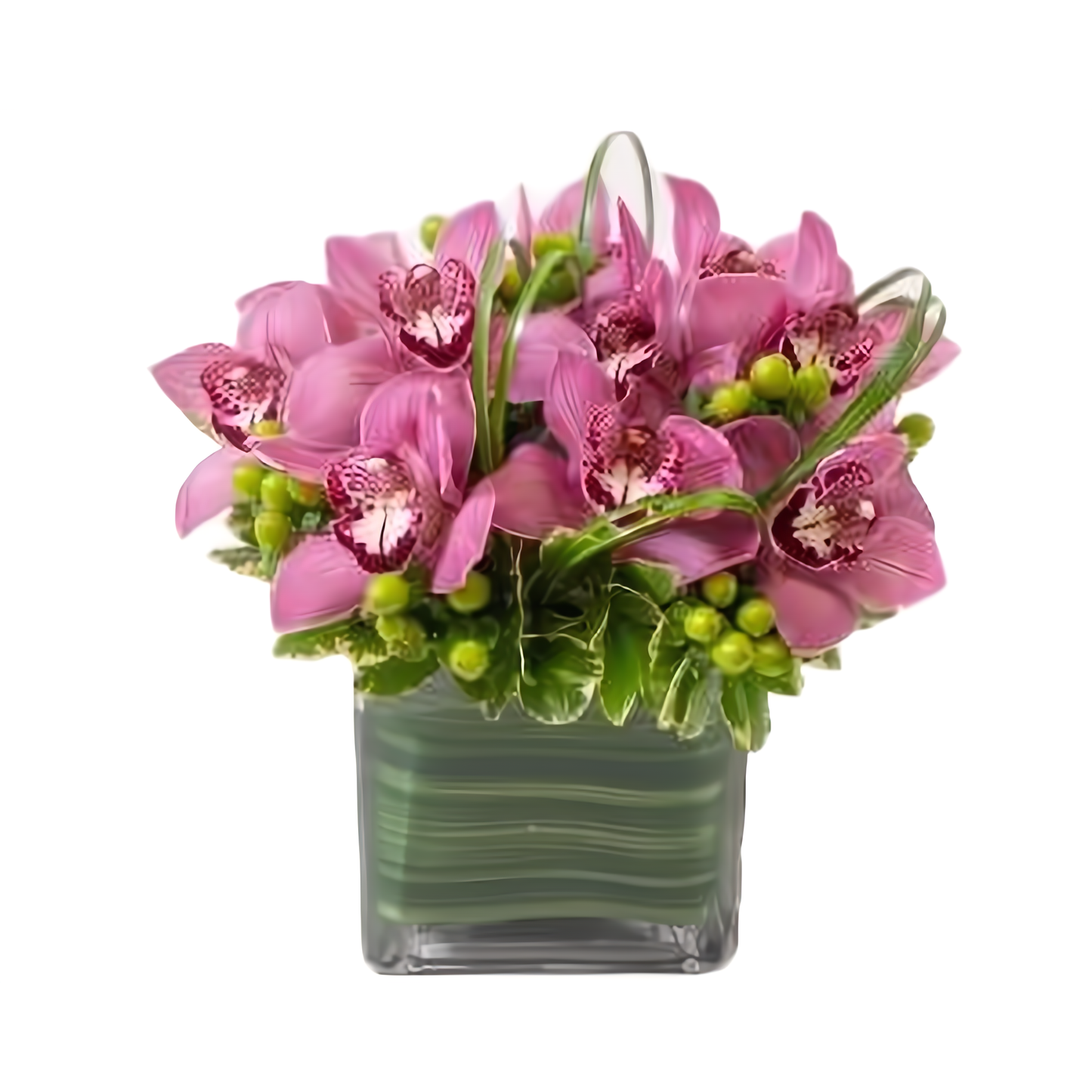 NYC Flower Delivery - Cymbidium Fancy - Occasions > Anniversary