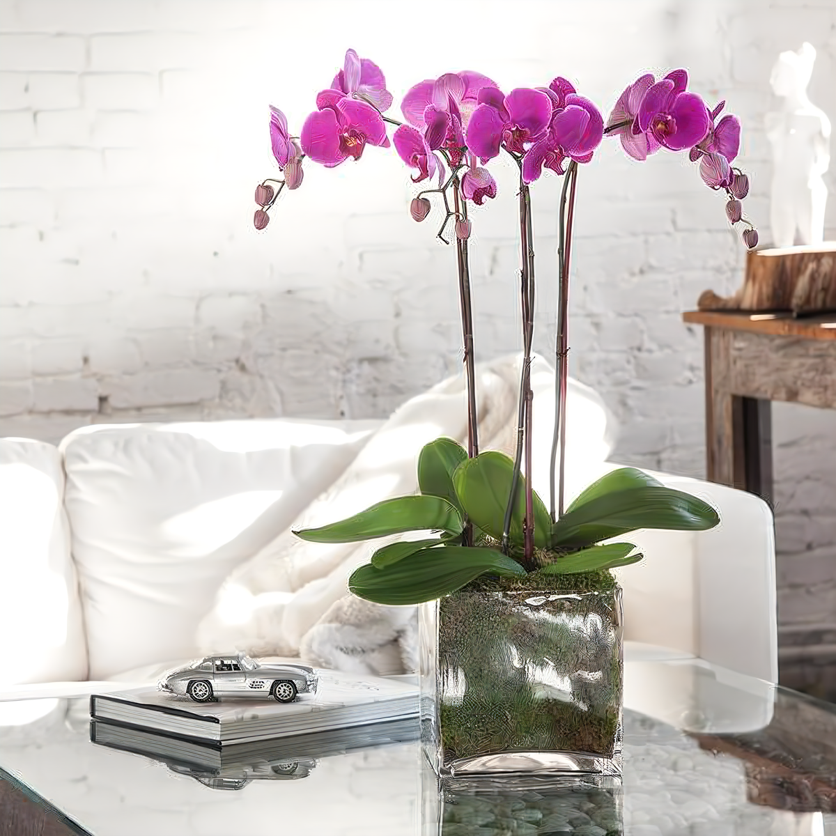 NYC Flower Delivery - Triple Purple Phalaenopsis Orchid - Plants