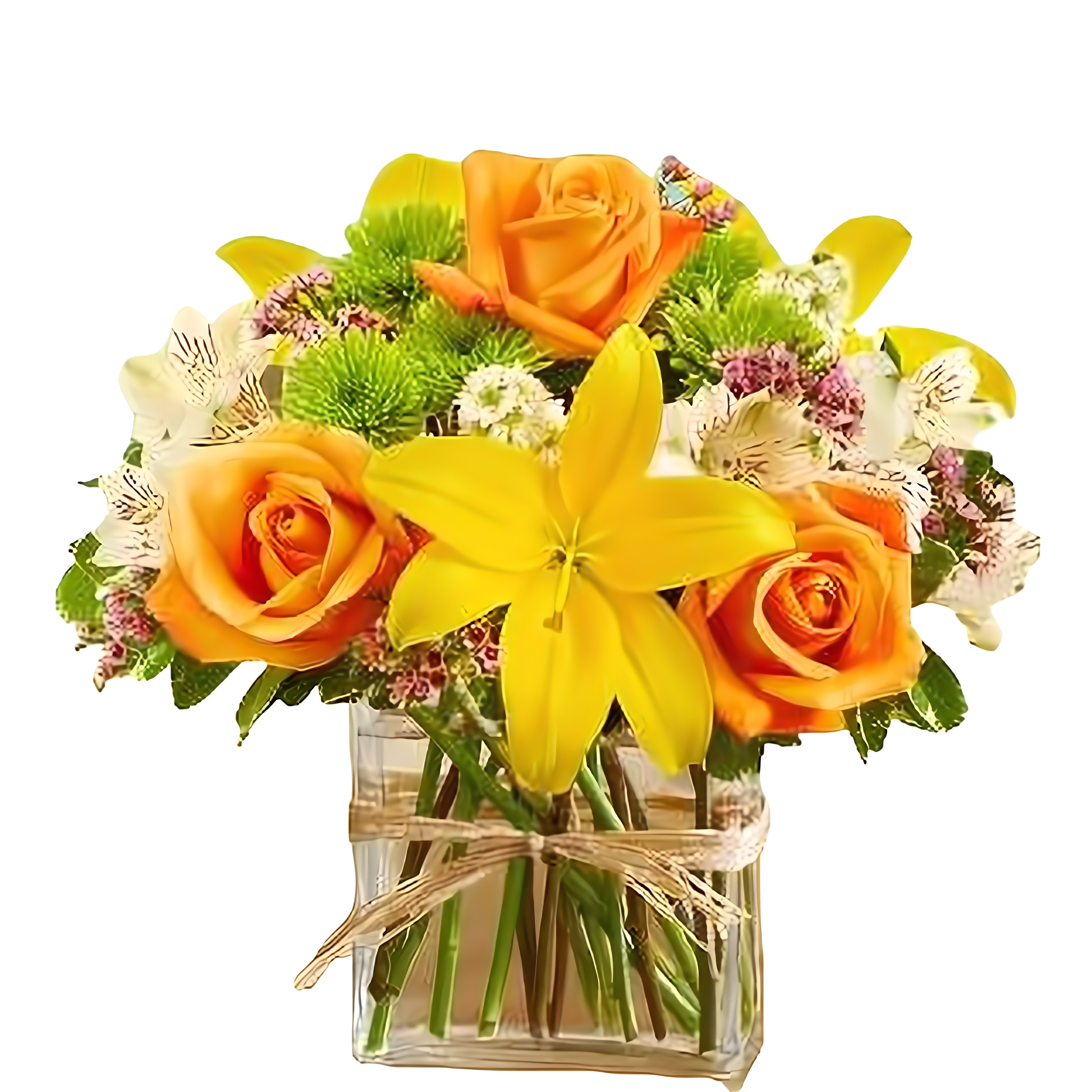 NYC Flower Delivery - Fields of the World in Rectangle - Products > Corporate Gifts
