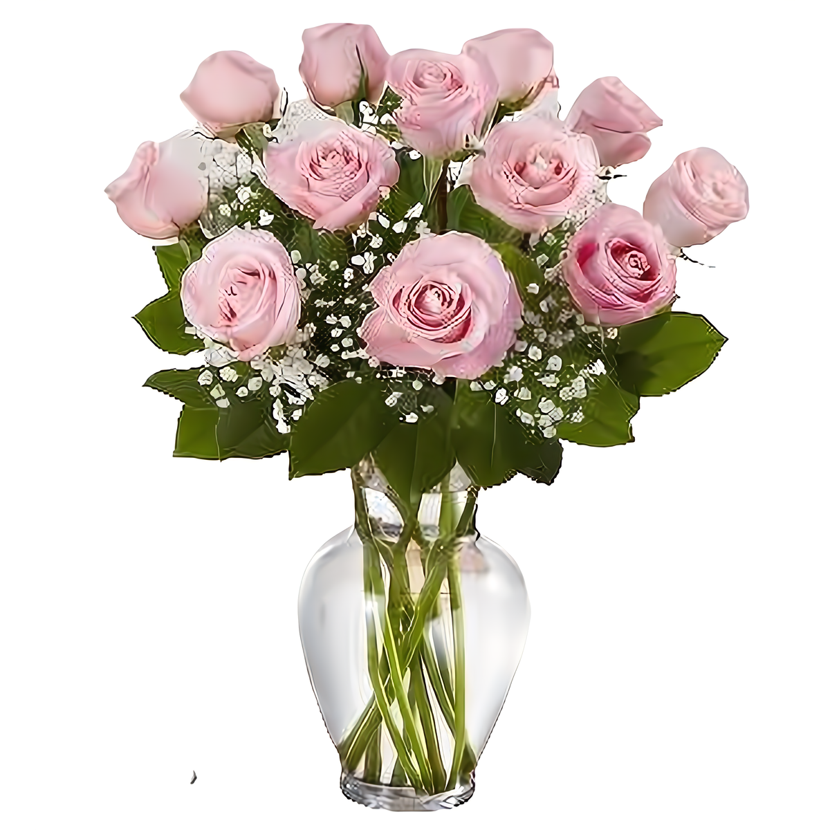 Queens Flower Delivery - Premium Long Stem Pink Roses