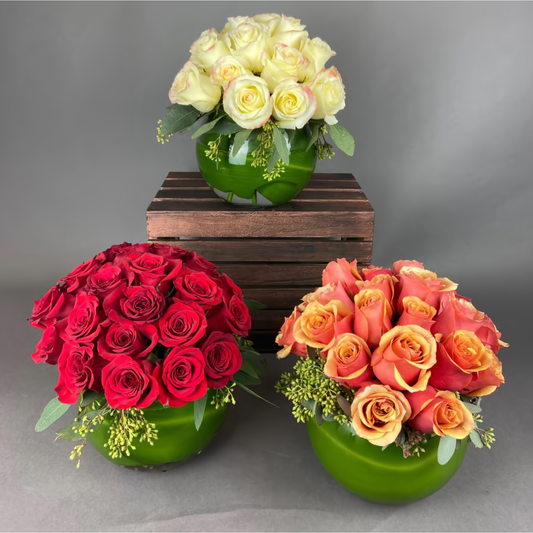 NYC Flower Delivery - 24 Rose Elegance Bubble Bowl - Roses