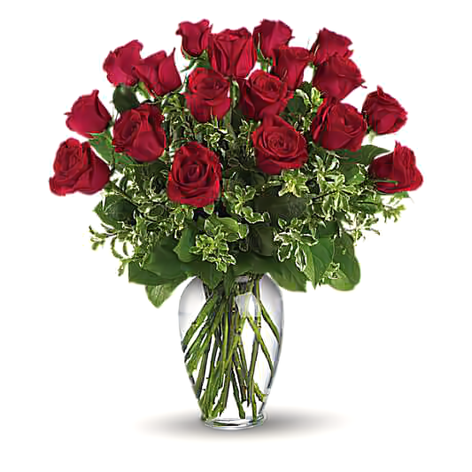 NYC Flower Delivery - Premium Long Stem - 18 Red Roses - Valentine's Day