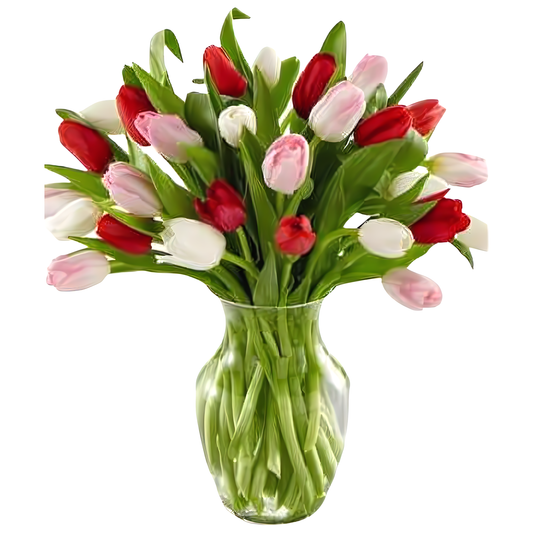 NYC Flower Delivery - Tulips Of Love - Valentine's Day