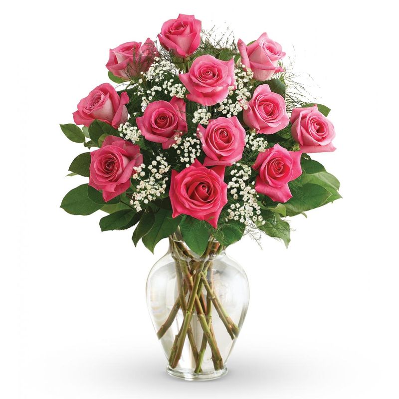 NYC Flower Delivery - Premium Long Stem Hot Pink Roses - Fresh Cut Flowers