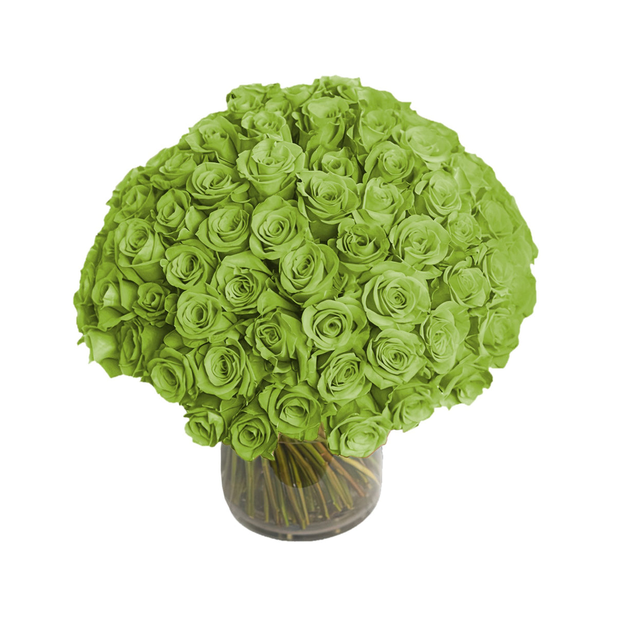 NYC Flower Delivery - Fresh Roses in a Crystal Vase | Green - 100 Roses - Roses