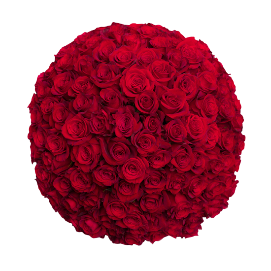 NYC Flower Delivery - Fresh Roses in a Crystal Vase | Red - Roses