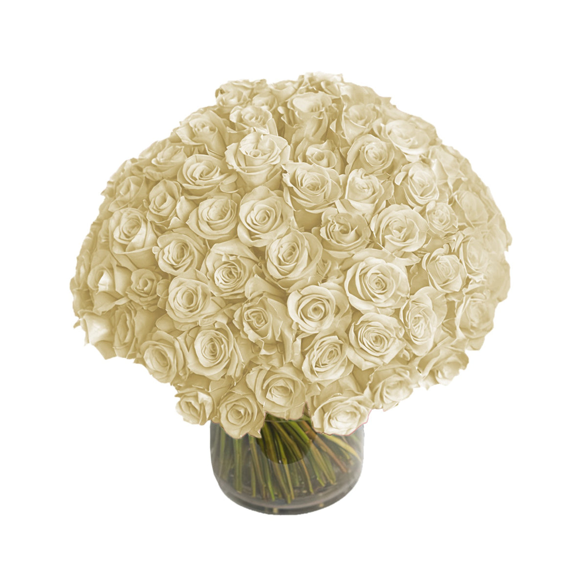 NYC Flower Delivery - Fresh Roses in a Crystal Vase | White - 100 Roses - Roses