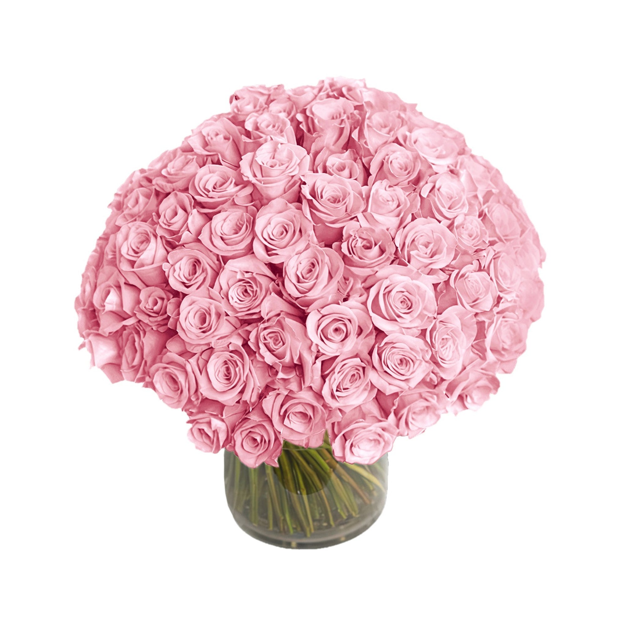 NYC Flower Delivery - Fresh Roses in a Vase | 100 Light Pink Roses - Roses