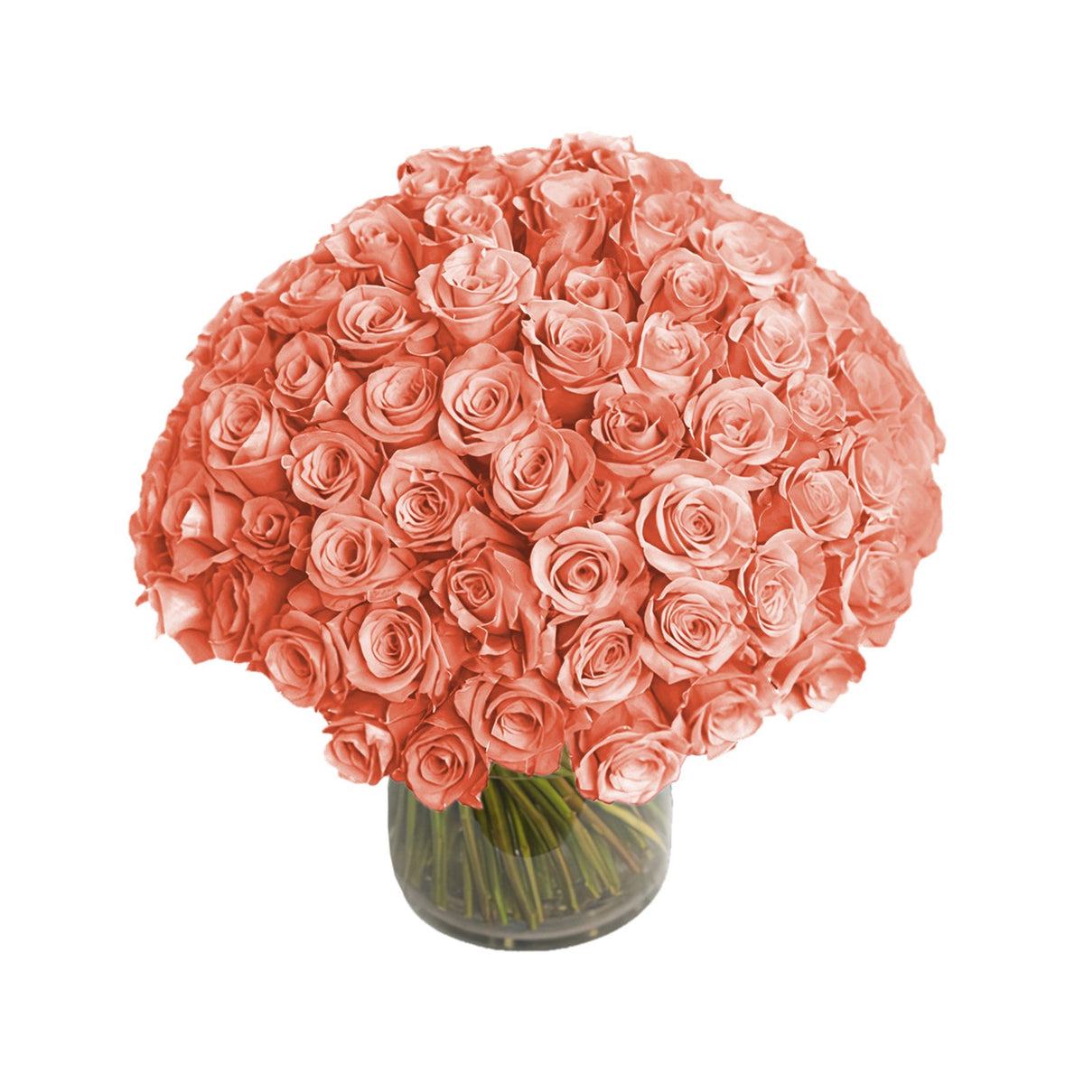 NYC Flower Delivery - Fresh Roses in a Vase | 100 Peach Roses - Roses