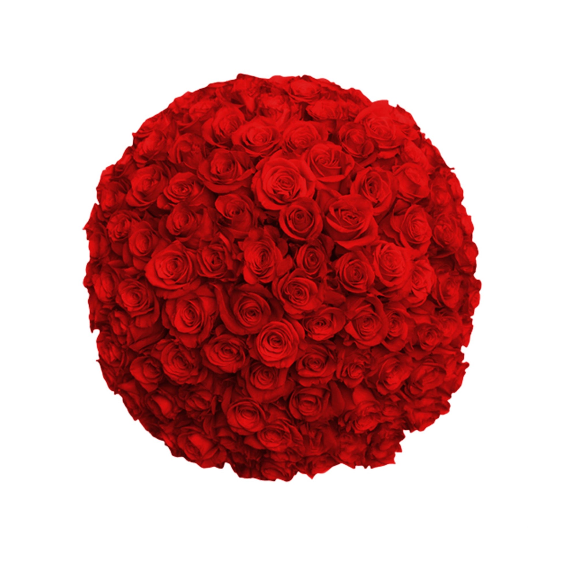 NYC Flower Delivery - Fresh Roses in a Vase | 100 Red Roses - Roses